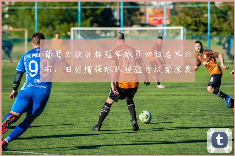 葡萄牙欧洲杯冠军球员回归名单公布，旧将增强球队经验与板凳深度