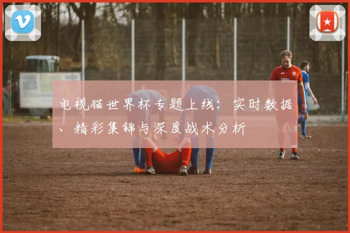 电视猫世界杯专题上线：实时数据、精彩集锦与深度战术分析