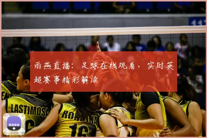 雨燕直播：足球在线观看，实时英超赛事精彩解读
