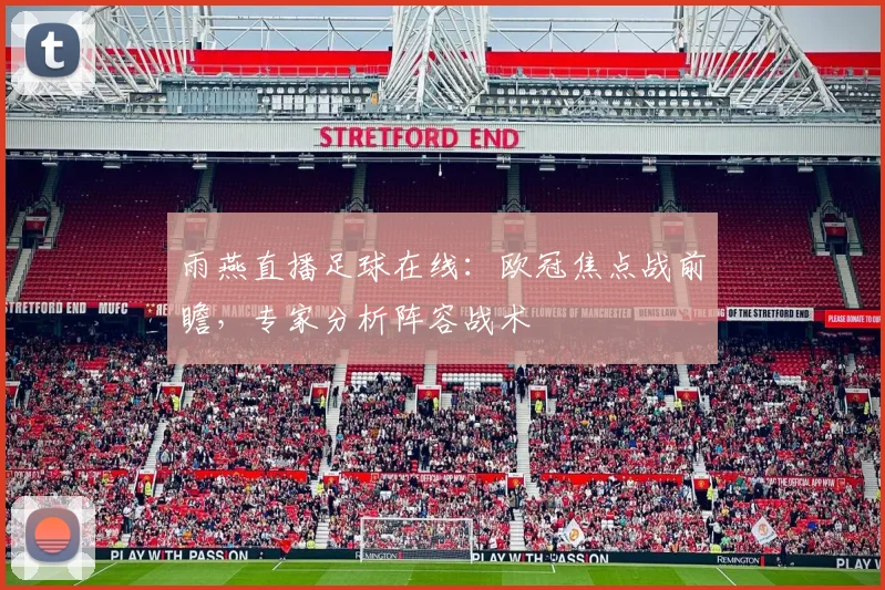 雨燕直播足球在线：欧冠焦点战前瞻，专家分析阵容战术
